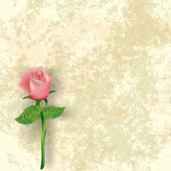 Illustrazione floreale astratta con rosa su sfondo sporco — Vettoriale Stock