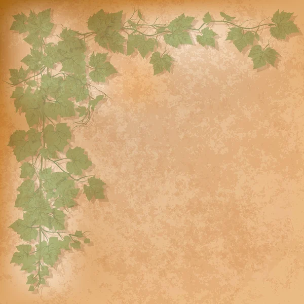 Illustration grunge avec feuilles de raisin — Image vectorielle