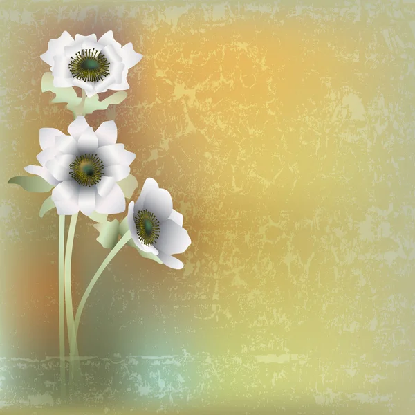 Abstracte grunge illustratie met bloemen — Stockvector