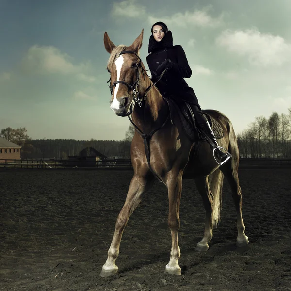 Elegante cavaliere — Foto Stock