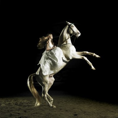 Beautiful girl on a white horse clipart