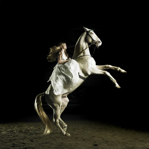 Güzel kız beyaz atlı — Stok fotoğraf