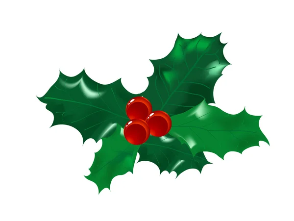 Weihnachten Stechpalme — Stockvektor