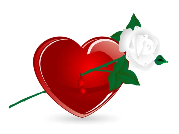 Srdce a růže — Stockový vektor