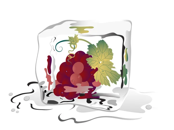 Raisins congelés — Image vectorielle