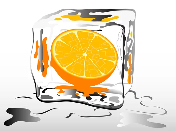 Orange Congelée Dans Glaçon — Image vectorielle