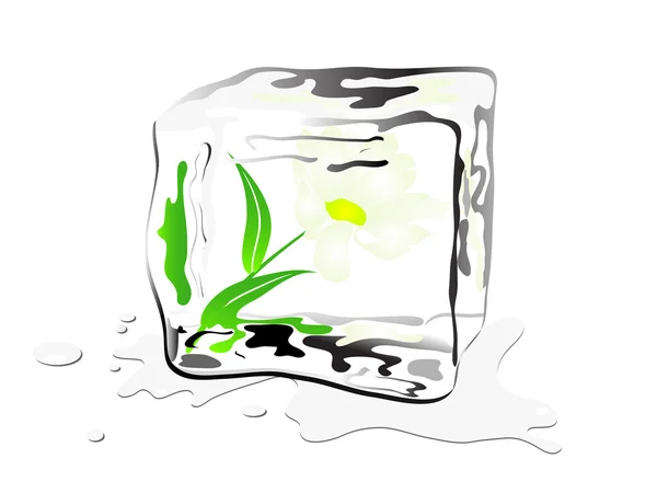 Marguerite congelée — Image vectorielle