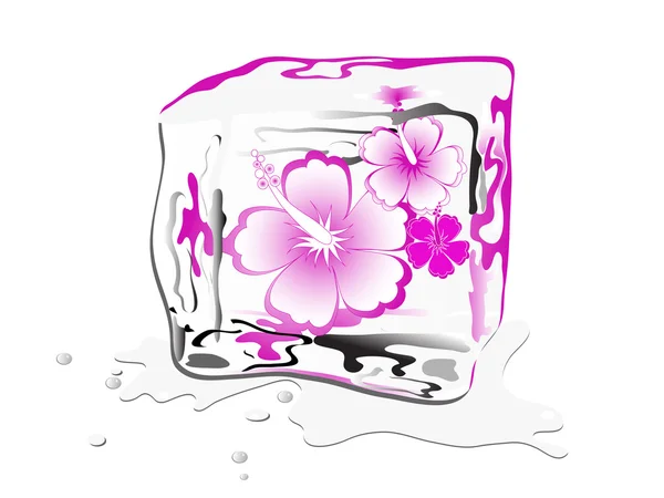 Flor Hibisco Congelada Cubo Gelo —  Vetores de Stock
