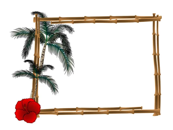 帧从竹带两个棕榈树2 つのヤシの木と竹からフレーム — ストックベクタ