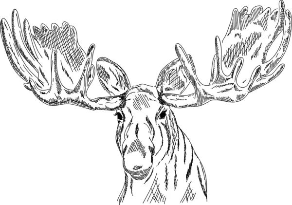 麋鹿头 — 图库矢量图片