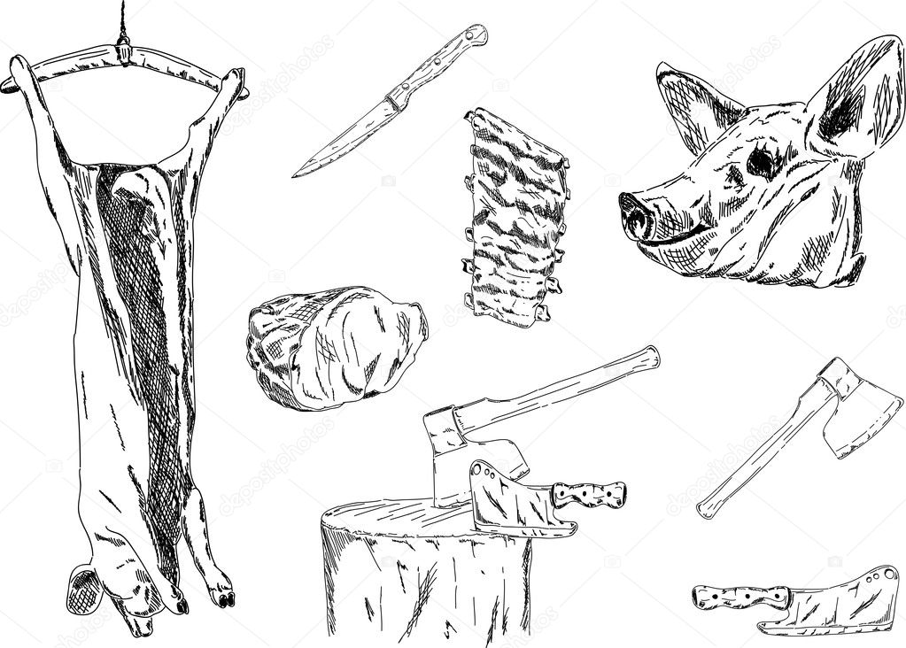 Vector - set of pig-slaughtering isolated on background