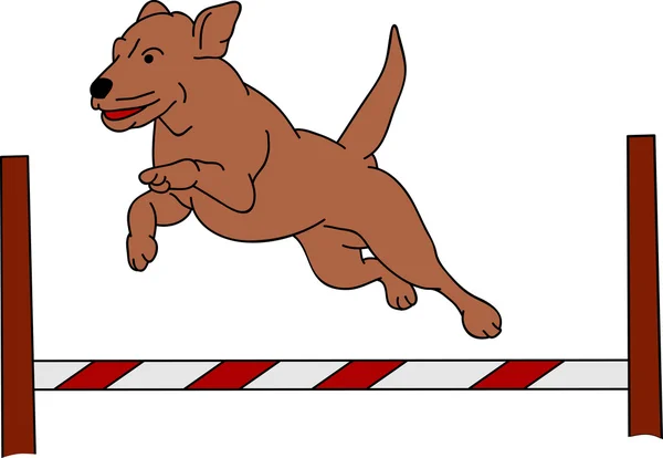 Ловкость собаки — стоковый вектор