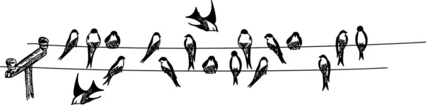 Zwaluwen op draad — Stockvector