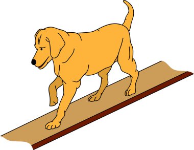 Dog agility clipart