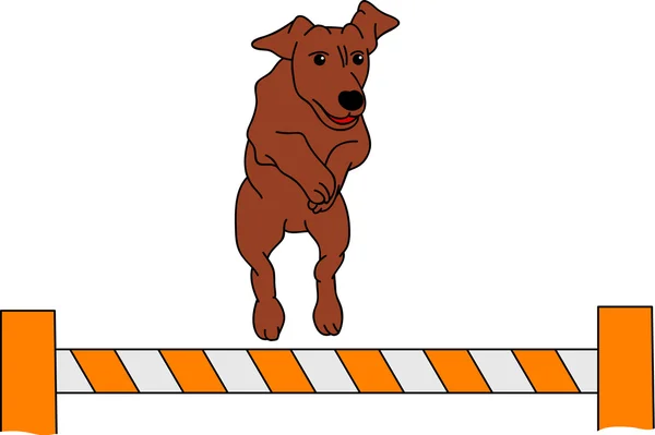 Agilidad del perro — Vector de stock