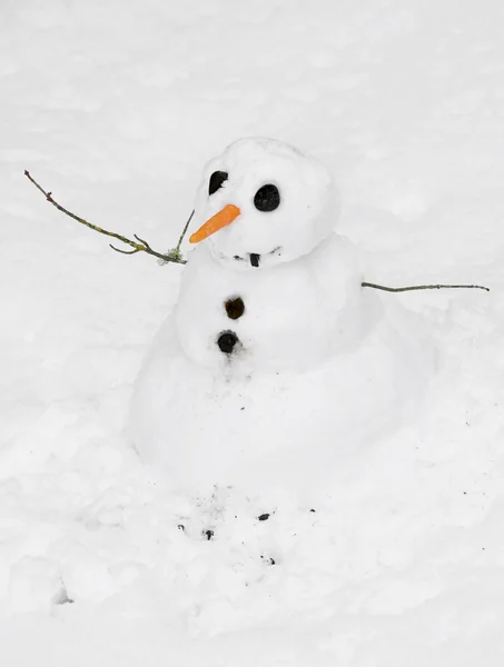 幸せな雪だるま — ストック写真