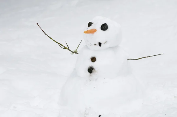 幸せな雪だるま — ストック写真