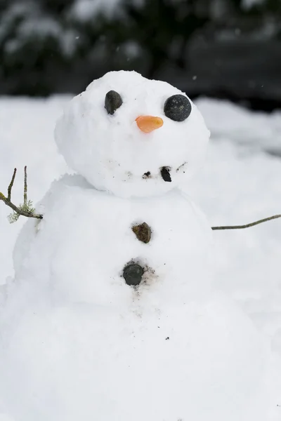Joyeux bonhomme de neige — Photo