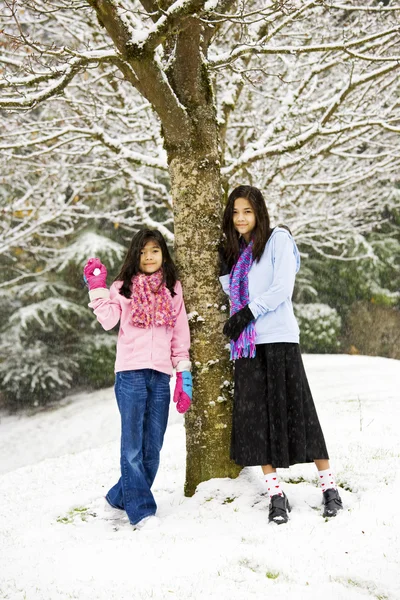 Dos niñas de pie junto al árbol en nieve fresca —  Fotos de Stock