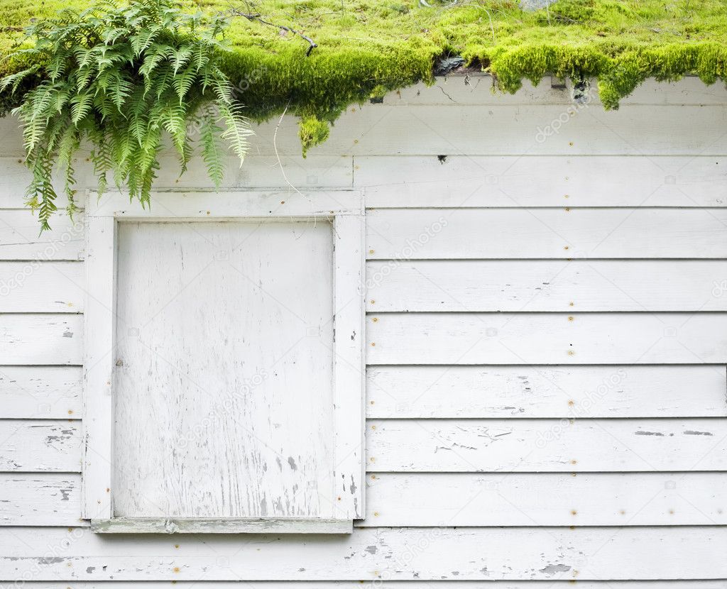 Moss covered abandoned building with white siding