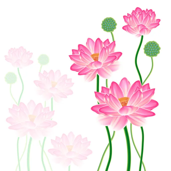 Lotus oriental réaliste . — Image vectorielle