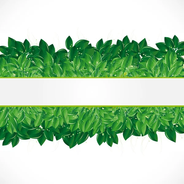 Естественный Фон Зелеными Листьями Травой Росой — стоковый вектор