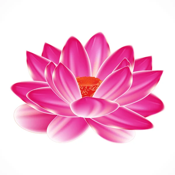 Water lily flower, isolated element to your spa design. — Stock Vector