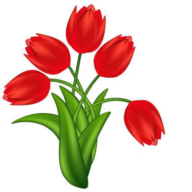 Vector illustration of red tulips. Gradient meshes. clipart