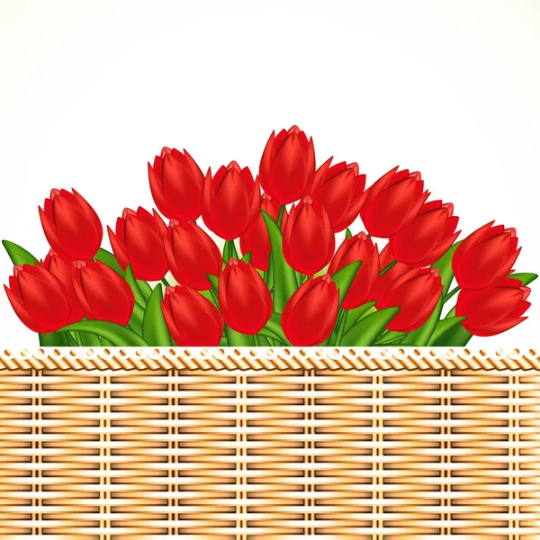 Ilustração vetorial de tulipas vermelhas. Malhas graduais . —  Vetores de Stock