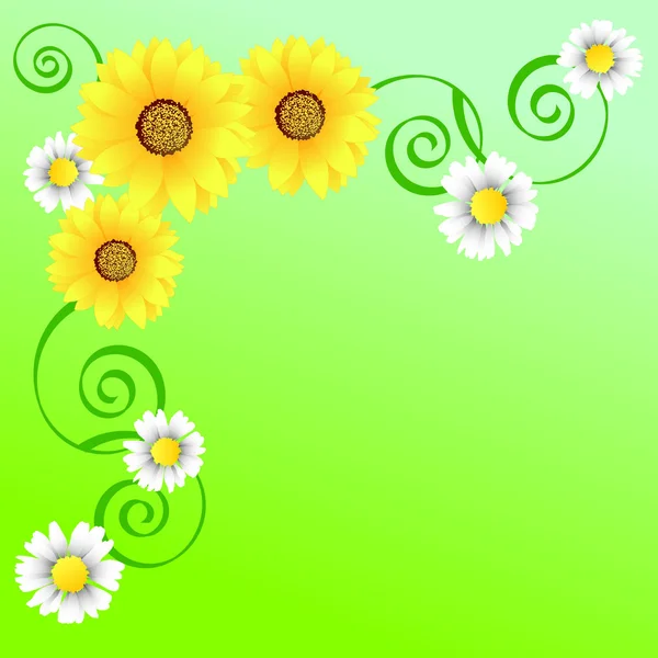 Heller Frühlingshintergrund Mit Sonnenblumen Und Kamillen — Stockvektor