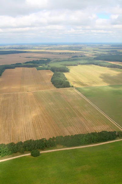 Harvesting. Aerial image. — Stock Photo, Image