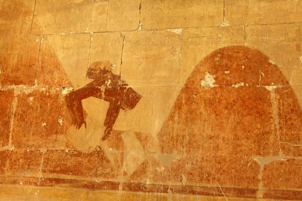 Bajorrelieve del templo de Hathepsut —  Fotos de Stock