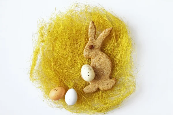 Easter bunny in nest — Stock Photo, Image