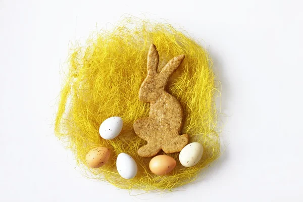Pasen konijn in het nest — Stockfoto