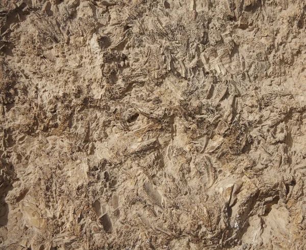 Struktury piaskowca — Zdjęcie stockowe