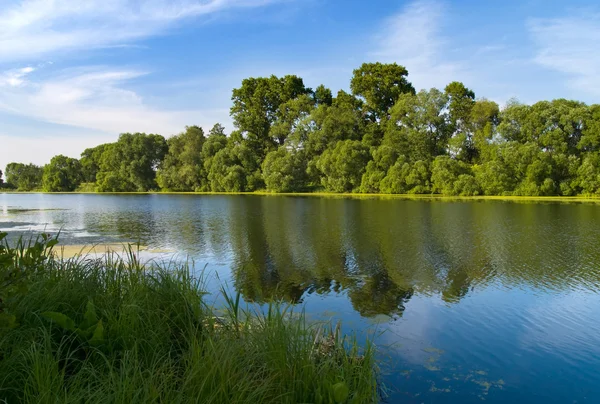 Вид на реку с синим небом — стоковое фото