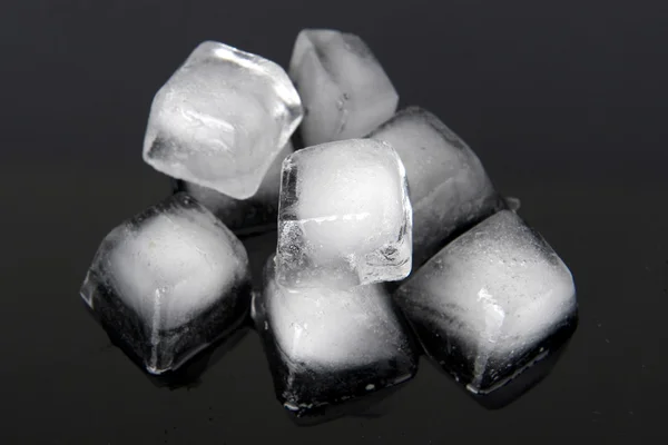 Icecubs — стокове фото
