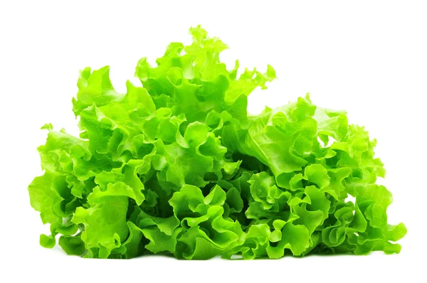 Salade verte isolée sur du blanc — Photo