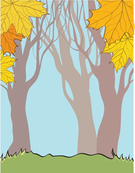 Background with autumn elements — Stock Photo, Image