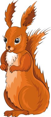 Squirrel clipart