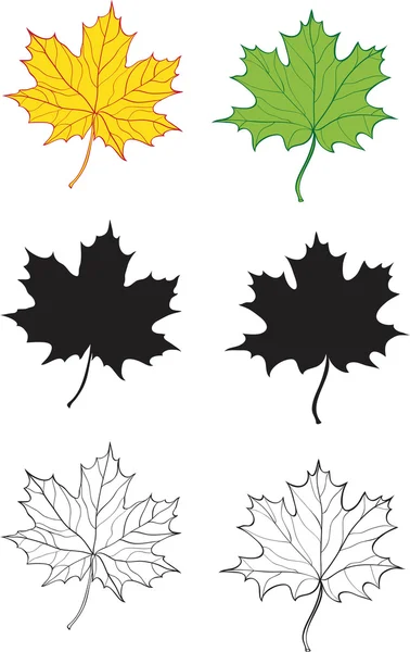Una serie di foglie d'acero — Vettoriale Stock