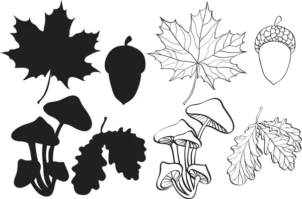 Set van silhouet herfst planten — Stockvector