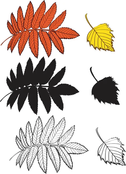 Una serie di betulle e foglie di sorbo — Vettoriale Stock