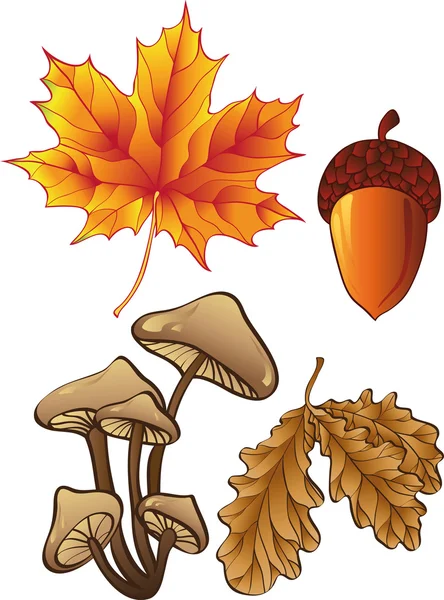 秋の植物のセット — ストックベクタ