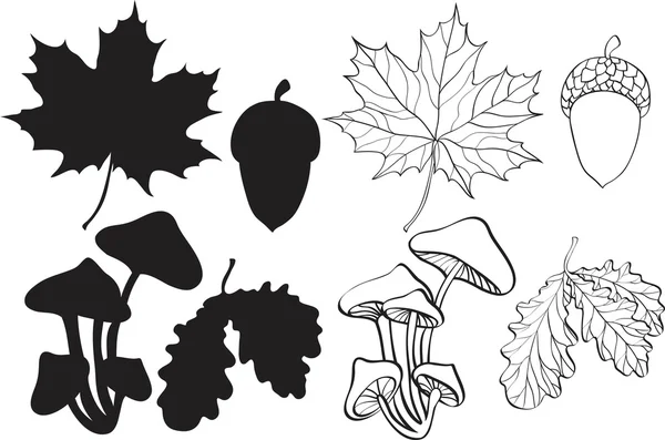 Σύνολο σιλουέτα φθινόπωρο φυτά Εικονογράφηση Αρχείου