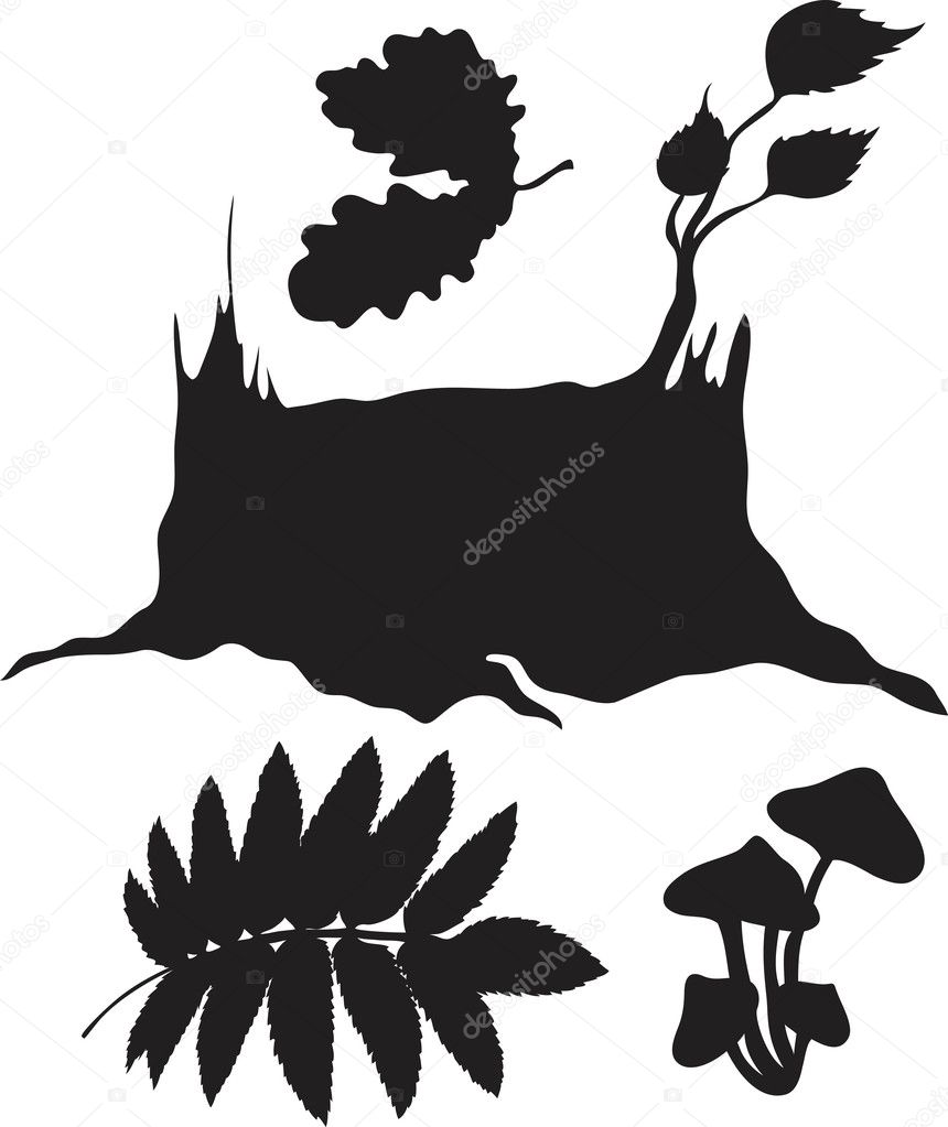 Set of forest plants isolated on white background