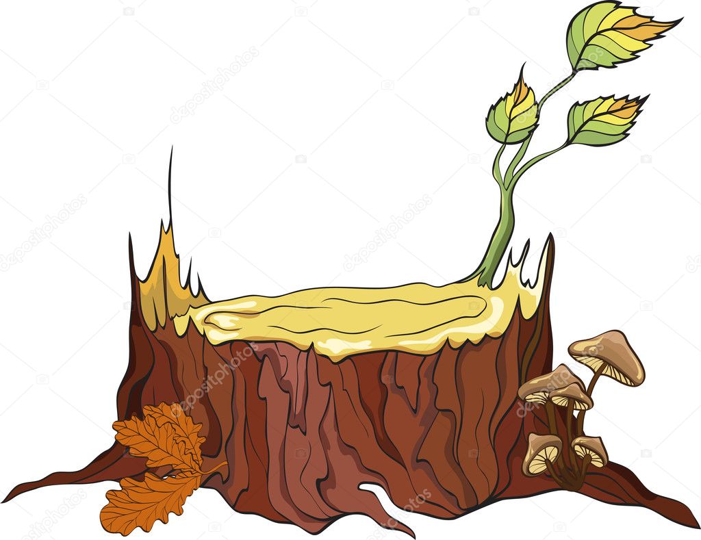 Tree Stub and mushrooms, detailed vector