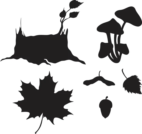 Set de frunze diferite — Vector de stoc