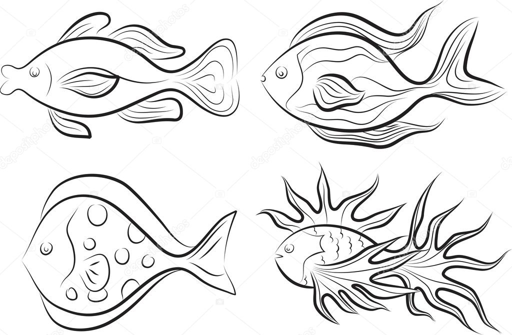 Collection of fishes.