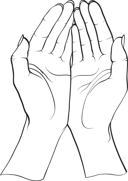 Two hands — Stock Vector